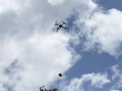 为了50000斤荔枝:广东持续暴雨下的一场山间民生接力米乐体育下载